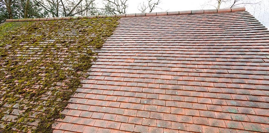 roof cleaning image